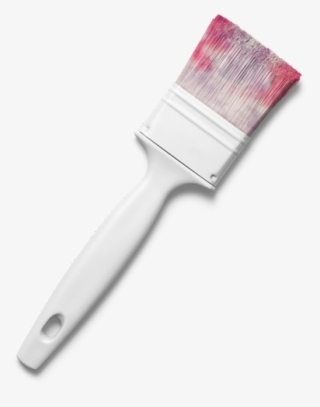 Magic Brush Shiny Acorn - Brush #5085207