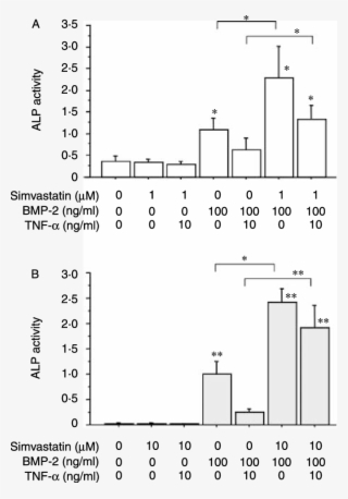 Effects Of Simvastatin Pretreatment On Tnf A Suppression - Alkaline Phosphatase #5085764