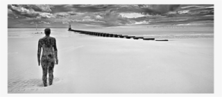 Efa 233 Crosby Beach Liverpool Copy 2 - Shore #5085765