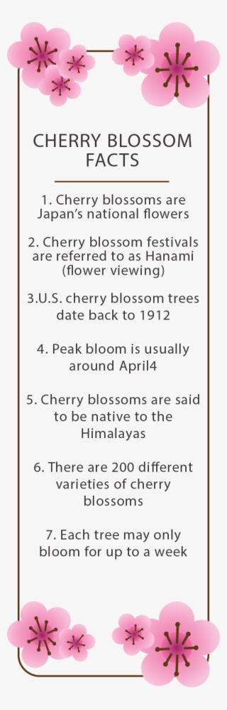 Japanese Culture Club Welcomes Spring With Its Cherry - 2018 Calendar Pretty Printable #5087098