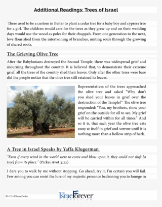 Additional Readings Trees Of Israel The Shade By My - History #5087365