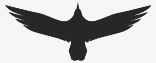 Please Take Our Satisfaction Survey - Golden Eagle #5088067