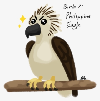 Graphic Black And White Decembirb Philippine Eagle - Cockatoo #5090091