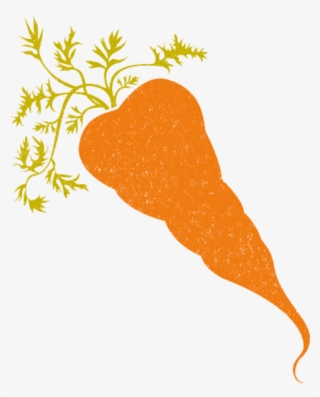 Carrot - Carrot - Chicken #5091094