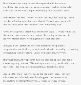 There Is No Orange In My Dreams Where Green Bottle #5091715