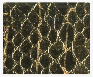 Quick View - Snake #5092317