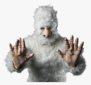 How To Photograph And Outline Hair - Yeti With No Background #5093549