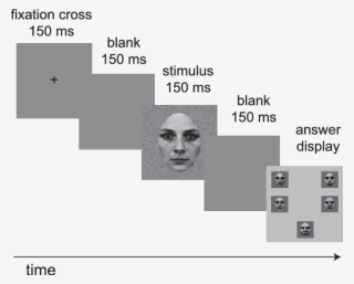 Sequence Of Displays In A Typical Trial - Skull #5094201