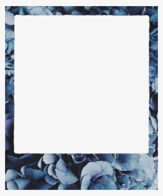 Polaroid Png #5095937