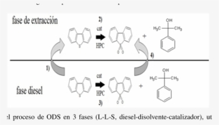 Esquema Del Proceso De Ods En 3 Fases - Solvent In Chemical Reactions #5097587