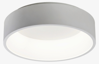 2507 - Lampshade #5098004