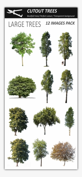 12 Large Trees Pack - Tree #5098283