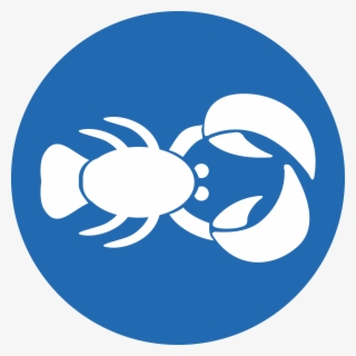 Sportlobster - 10 Digital Media Limited #5098284