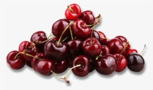 Cherries - Cherry #510690 Cherries - Cherry #510690