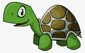 High Resolution Turtle - Turtle Clipart #510764