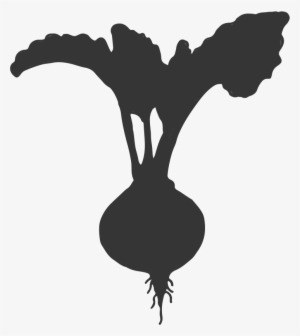 Make Stuff With Beets #510814