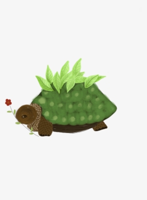 Tortoise #510837 Tortoise #510837