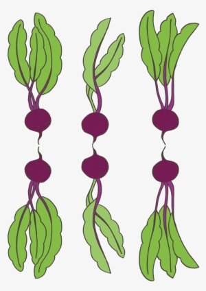 Big-beets - Portable Network Graphics #510858