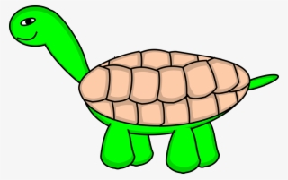 Tortoise Stage 6 Final Clipart Png #510904