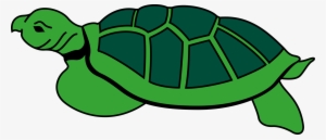 Animal Reptile Tortoise Turtle Tortoise To - Kura Kura Clipart #511169