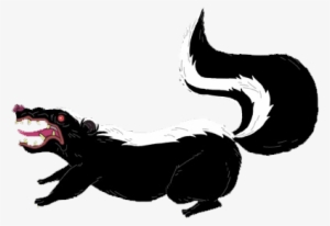 Skunk - Skunk Png #511186