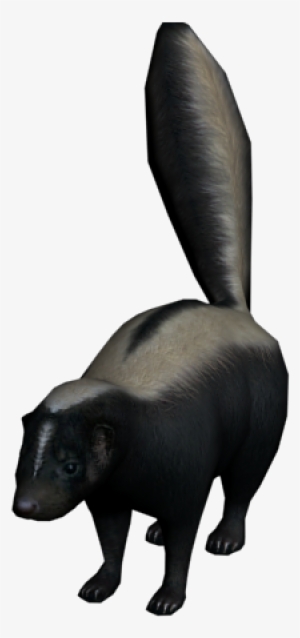 Skunk - Skunks #511290