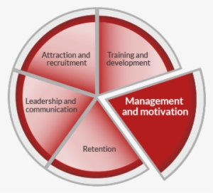 A Pie Chart Graphic Representing Workforce Development - Management #511292