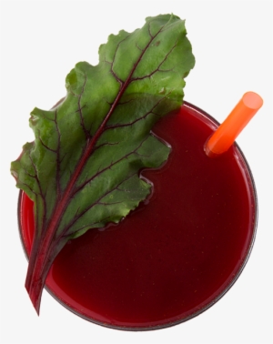 Apple Beet Kombucha - Beet Greens #511312
