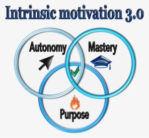 Intrinsic Motivation #511370