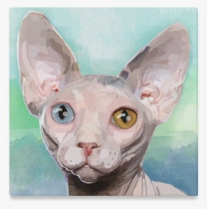 Watercolor Canvas Print 16"x16" - Sphynx Cat #511399