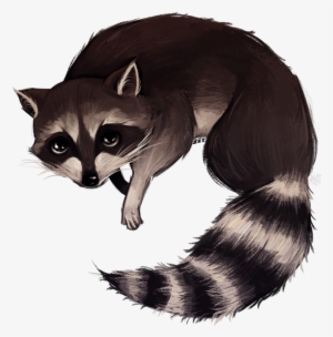 Http - //img - Photobucket - - Raccoon Drawing Png #511594