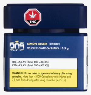 Lemon Skunk - Lemon Skunk - Skunk #511639