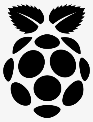 Raspberry Pi Filled Icon - Microsd Card Adapter To Sd #511700