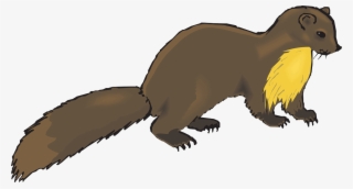 Animal Clip Art - Mink Clipart #511874