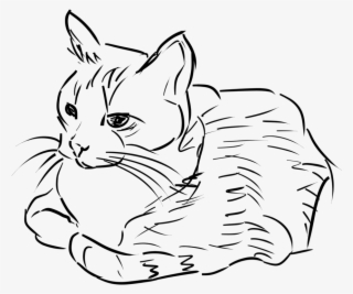 Cat Clip Art Black And White Clipart Download #511996