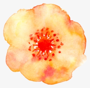 Watercolor Painting #512152