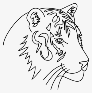Tiger,cat,animal,feral Cat,vector,graphics,png - Hewan Grafis Png #512294