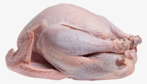 Uncooked Turkey Transparent Image Food Images - Turkey With Transparent Background #514188