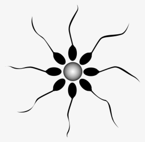 Sperm Png #514924