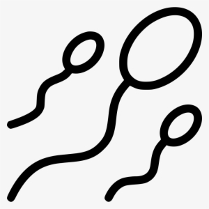 Png File - Spermatozoon #515030