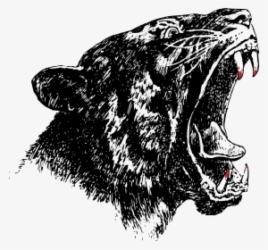 Detroit Tigers Clipart Illustration Free Tiger Head - Gambar Macan Kumbang Animasi #515050