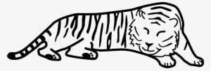 White Tiger Clipart Black And White - Cartoon Black And White Tiger #515113