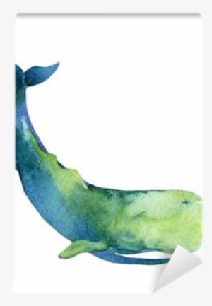 Sperm Whale Outline Drawing #515200