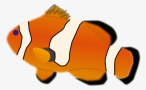 Illuminati Png Mlg - Custom Clown Fish Mugs #515353