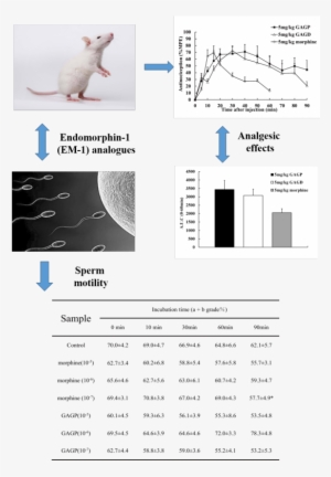 And Medicinal Chemistry Letters Reveals That Our Version - Diagram #515356