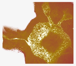 This Used To Be A Dabbing Emoji With Rabbit Ears - Rabbit #515620