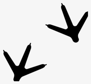 Turkey Tracks Clipart - Bird Track Clip Art #515665