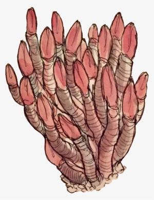 Some Transparent Deep Sea Images - Illustration #515815