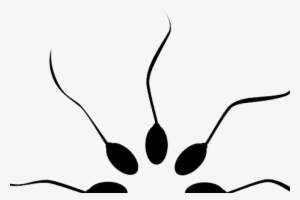 Sperm June 3, 2014off - Fertility #515893