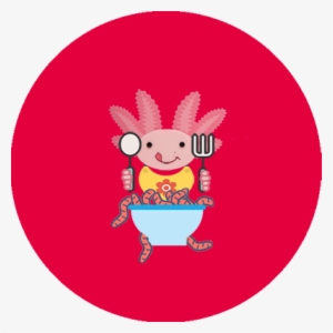 Axolotl Feeding - Axolotl #515920